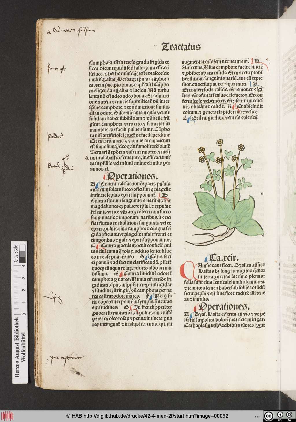 http://diglib.hab.de/drucke/42-4-med-2f/00092.jpg