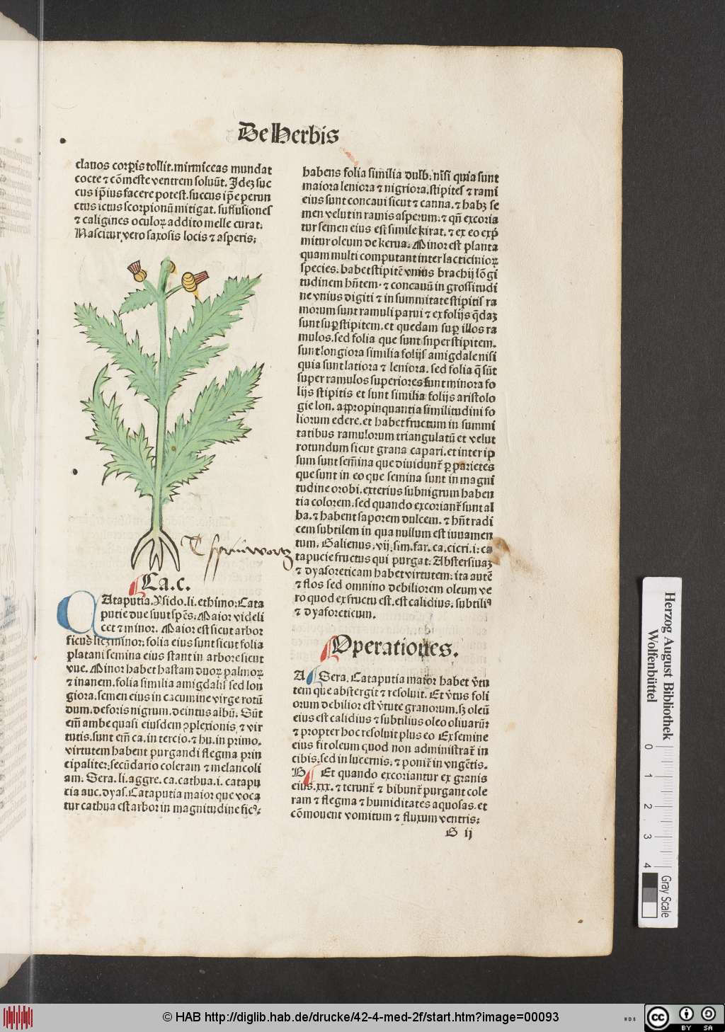 http://diglib.hab.de/drucke/42-4-med-2f/00093.jpg