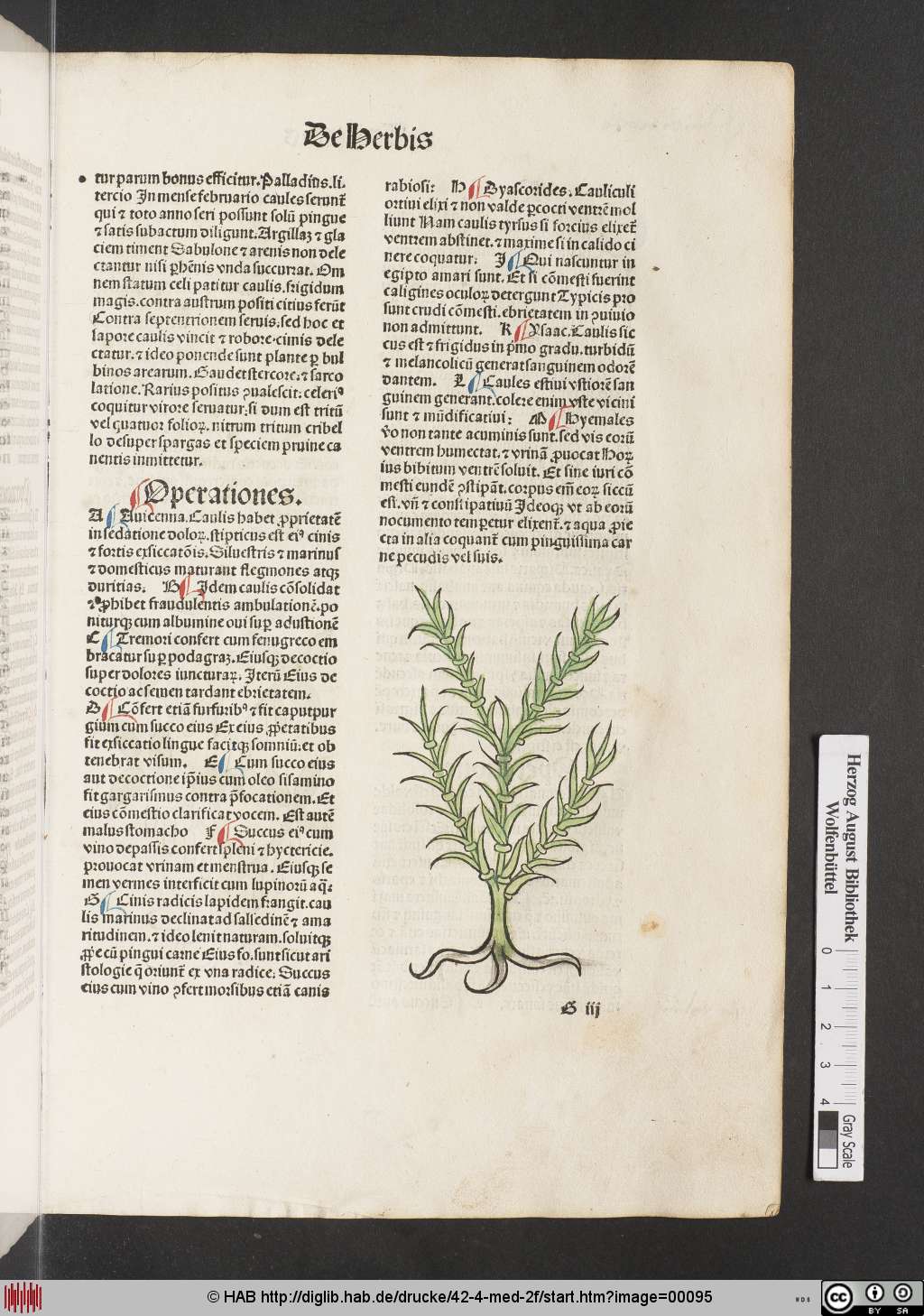 http://diglib.hab.de/drucke/42-4-med-2f/00095.jpg