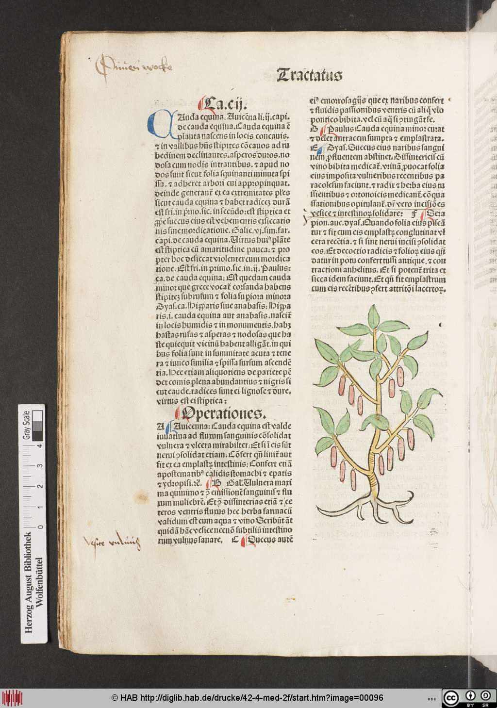 http://diglib.hab.de/drucke/42-4-med-2f/00096.jpg