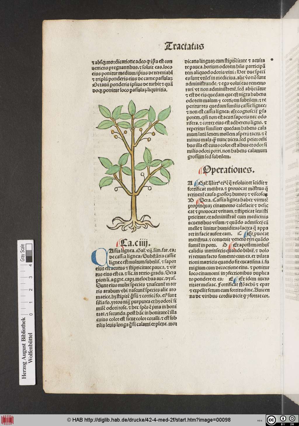 http://diglib.hab.de/drucke/42-4-med-2f/00098.jpg