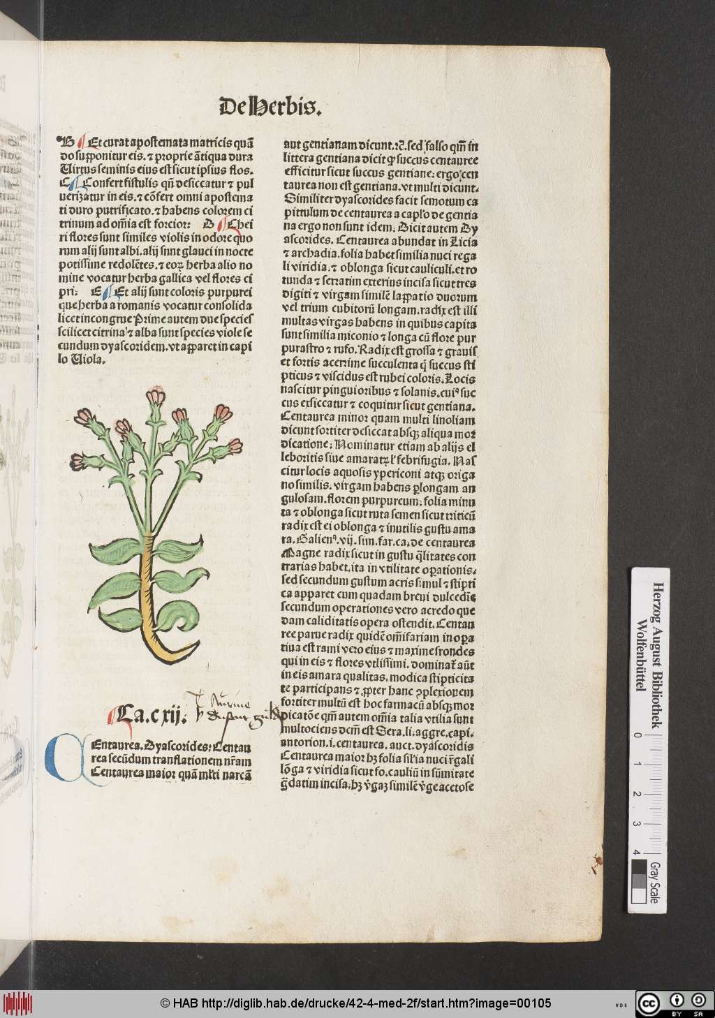 http://diglib.hab.de/drucke/42-4-med-2f/00105.jpg