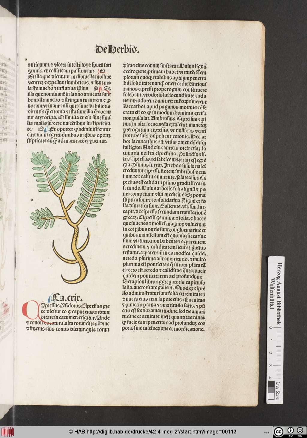 http://diglib.hab.de/drucke/42-4-med-2f/00113.jpg