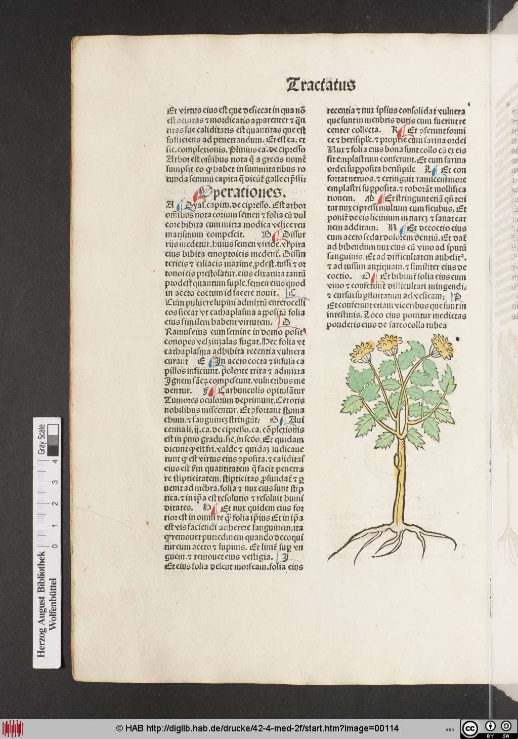 http://diglib.hab.de/drucke/42-4-med-2f/00114.jpg