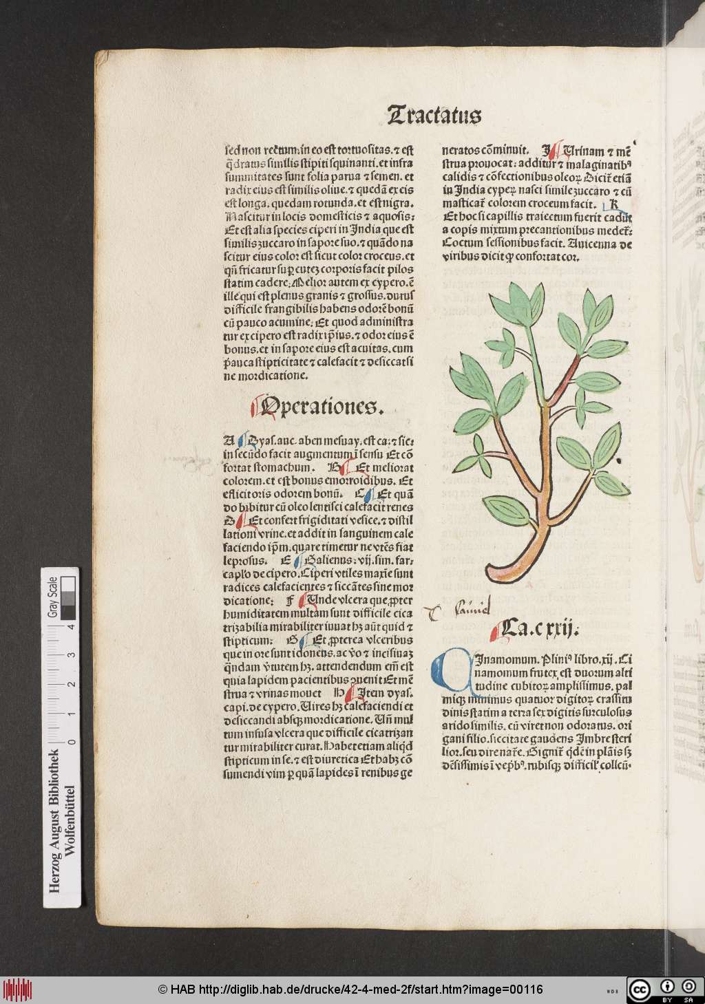 http://diglib.hab.de/drucke/42-4-med-2f/00116.jpg