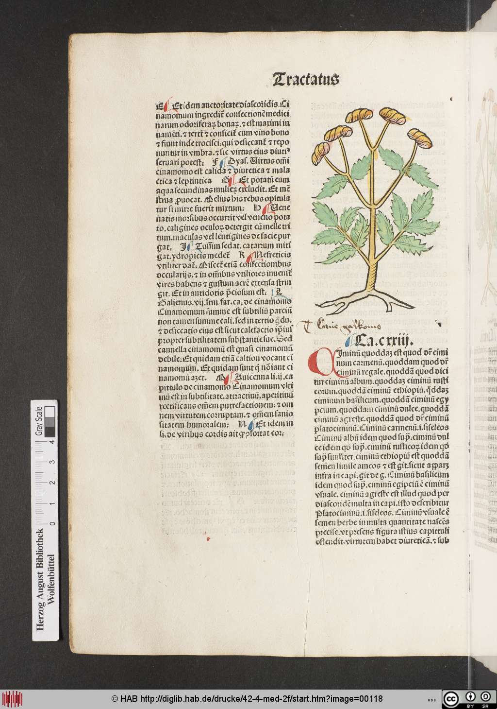 http://diglib.hab.de/drucke/42-4-med-2f/00118.jpg