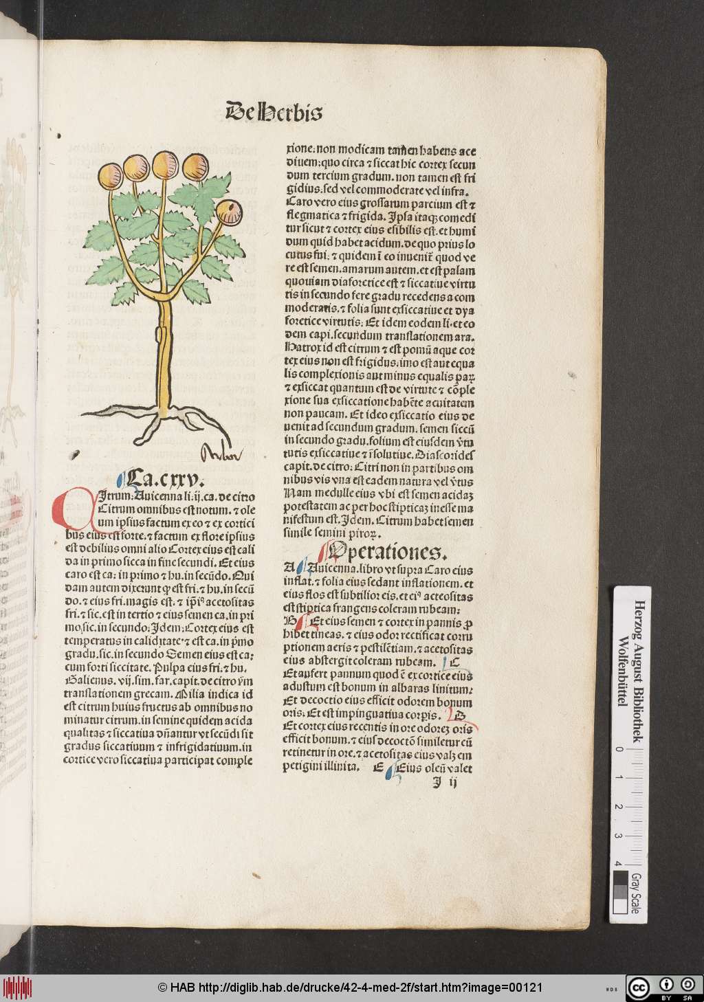 http://diglib.hab.de/drucke/42-4-med-2f/00121.jpg