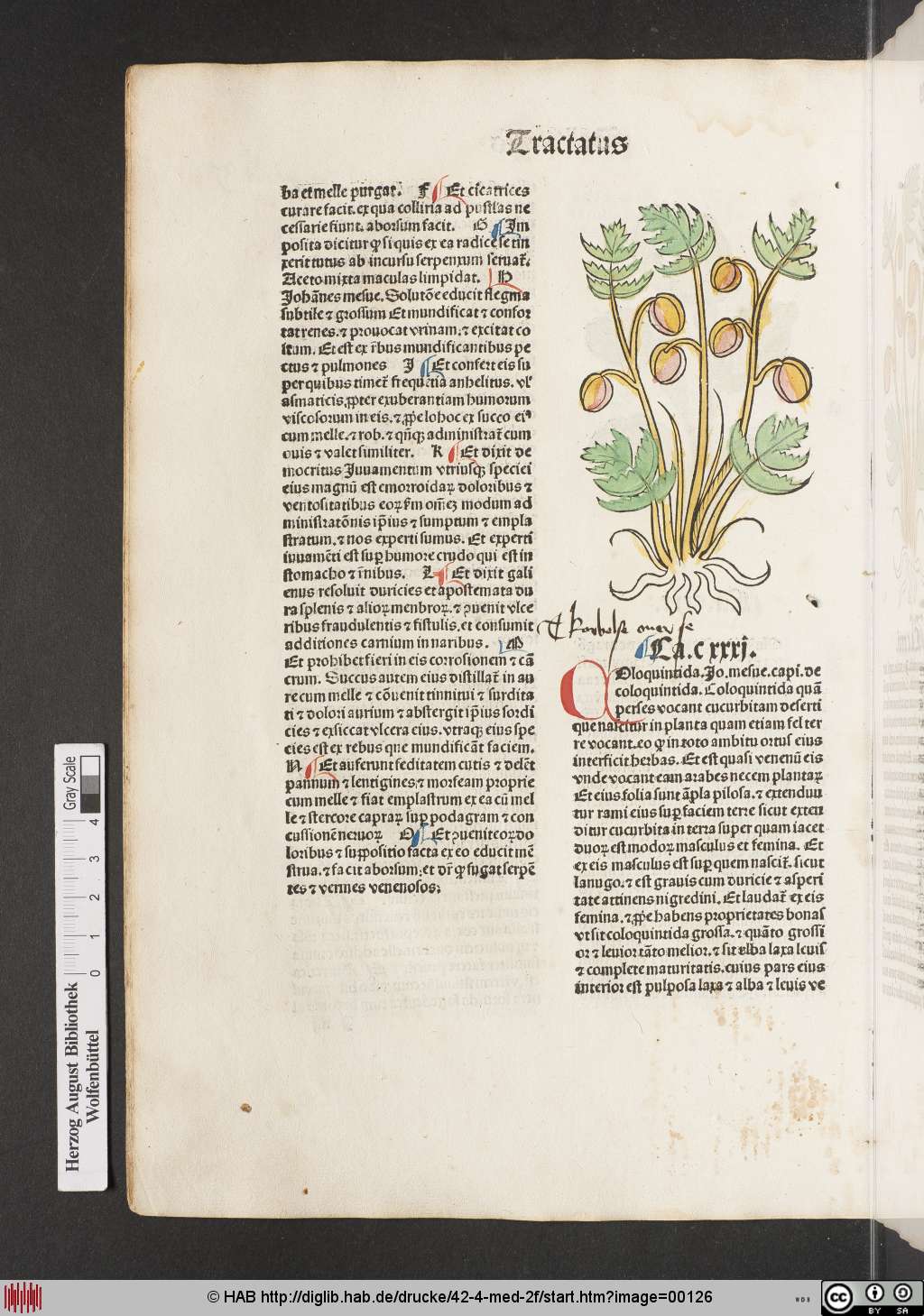 http://diglib.hab.de/drucke/42-4-med-2f/00126.jpg