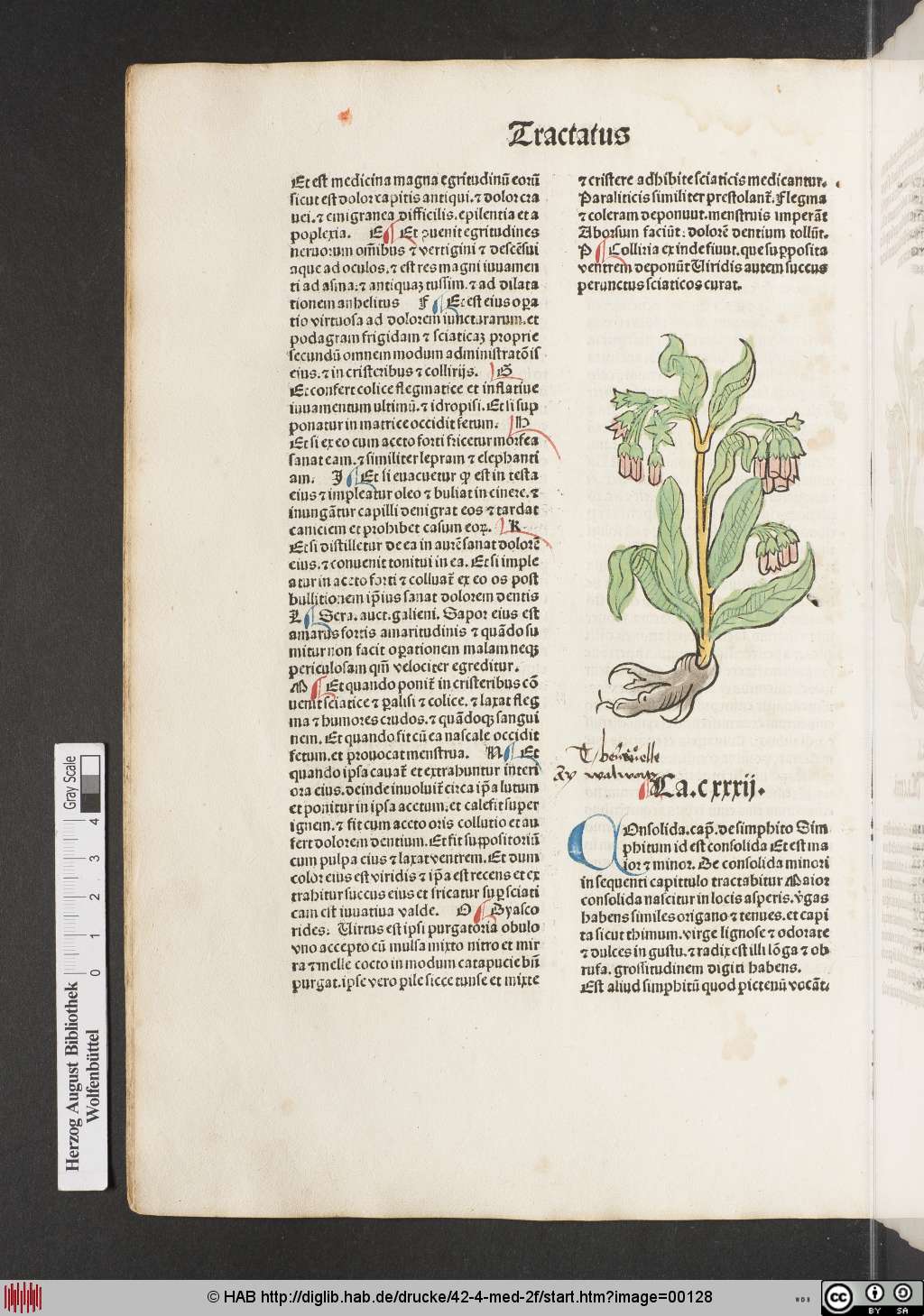 http://diglib.hab.de/drucke/42-4-med-2f/00128.jpg