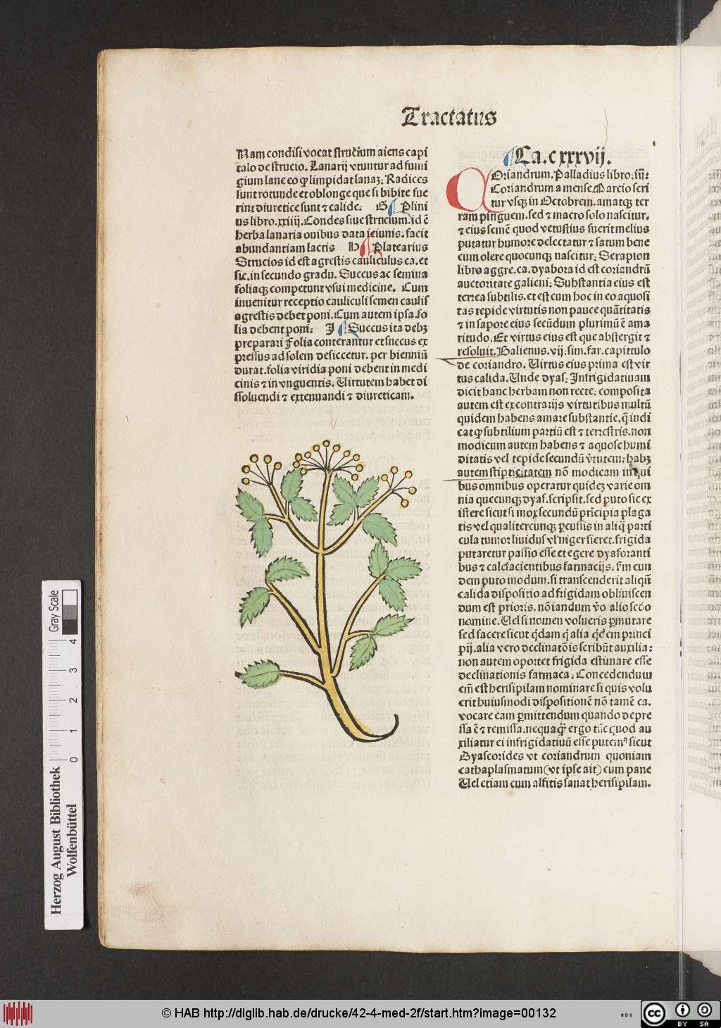 http://diglib.hab.de/drucke/42-4-med-2f/00132.jpg