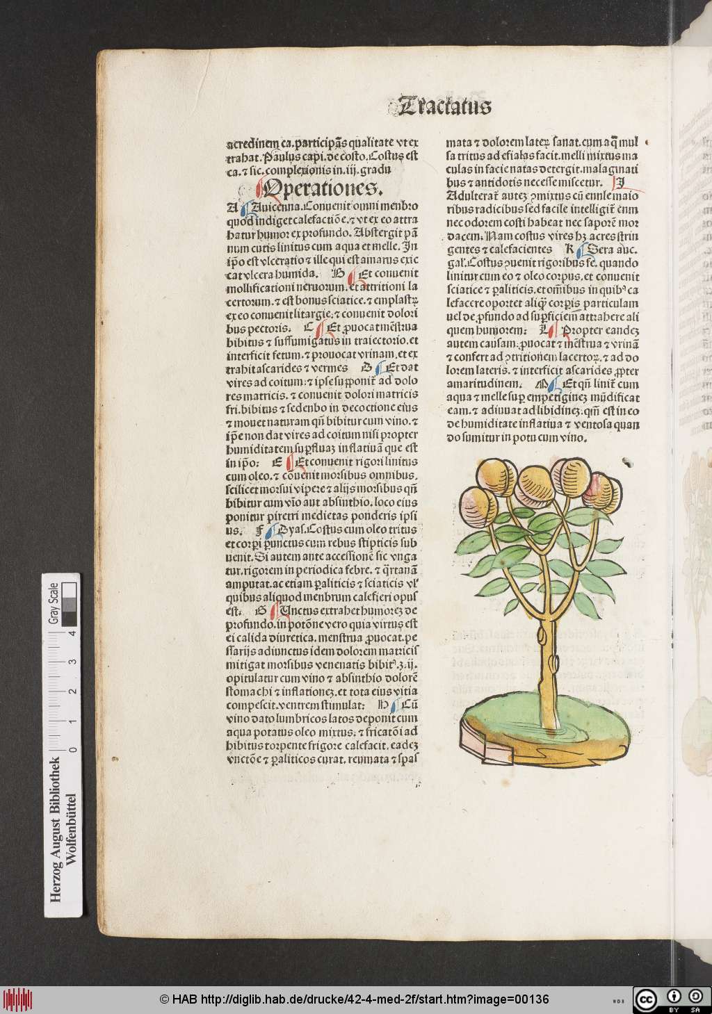 http://diglib.hab.de/drucke/42-4-med-2f/00136.jpg