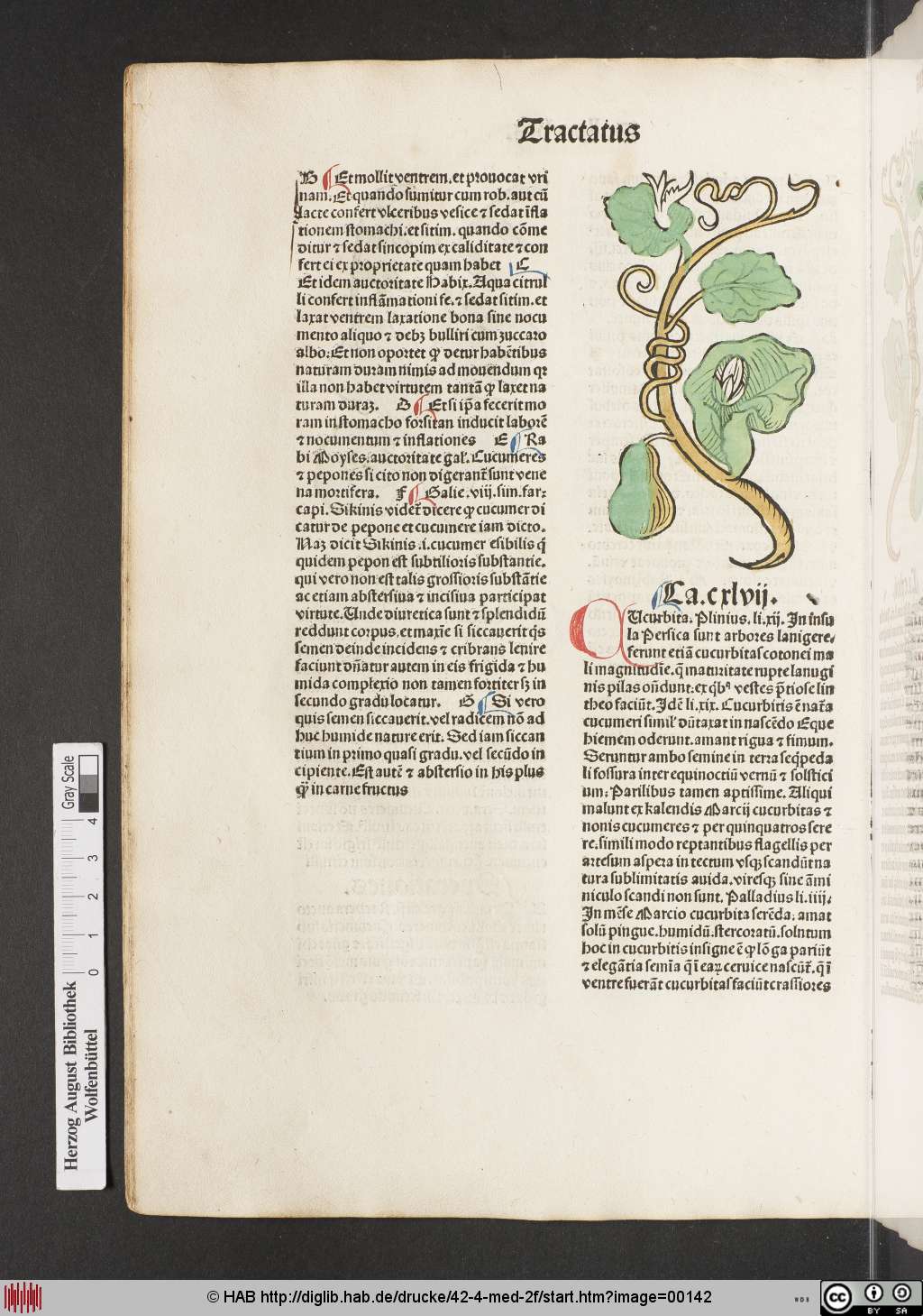 http://diglib.hab.de/drucke/42-4-med-2f/00142.jpg