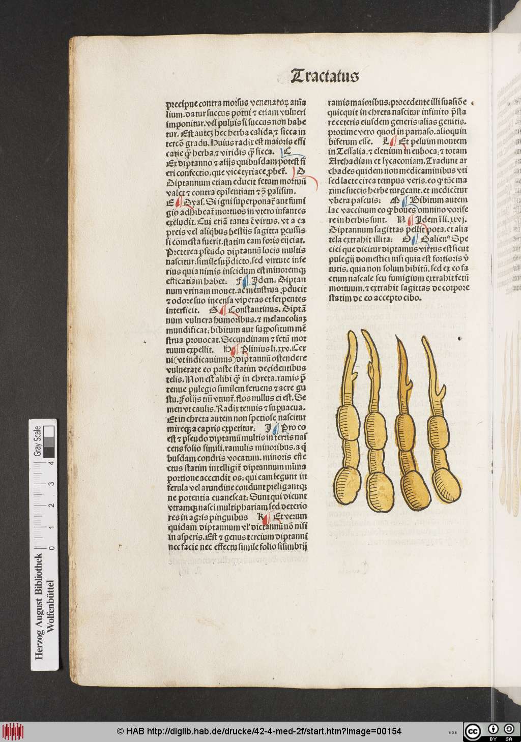 http://diglib.hab.de/drucke/42-4-med-2f/00154.jpg