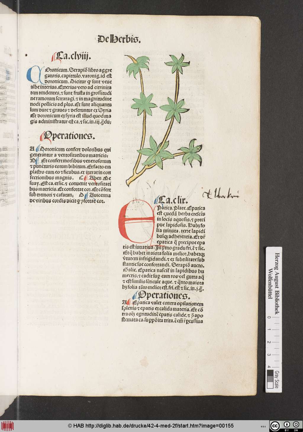 http://diglib.hab.de/drucke/42-4-med-2f/00155.jpg