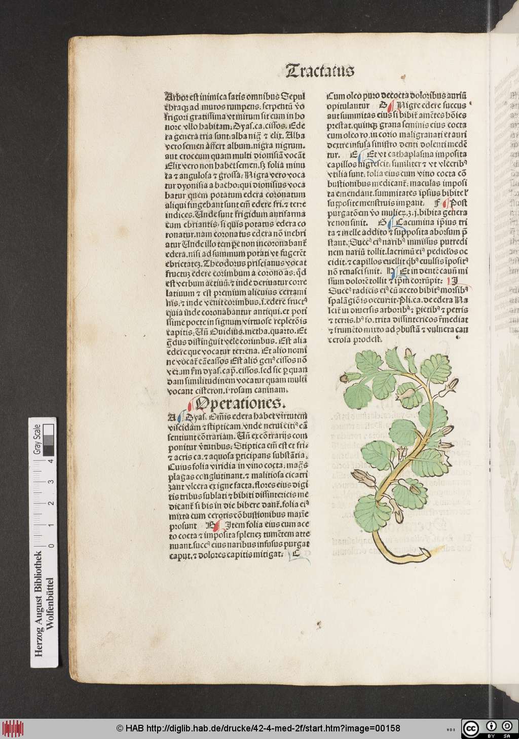 http://diglib.hab.de/drucke/42-4-med-2f/00158.jpg