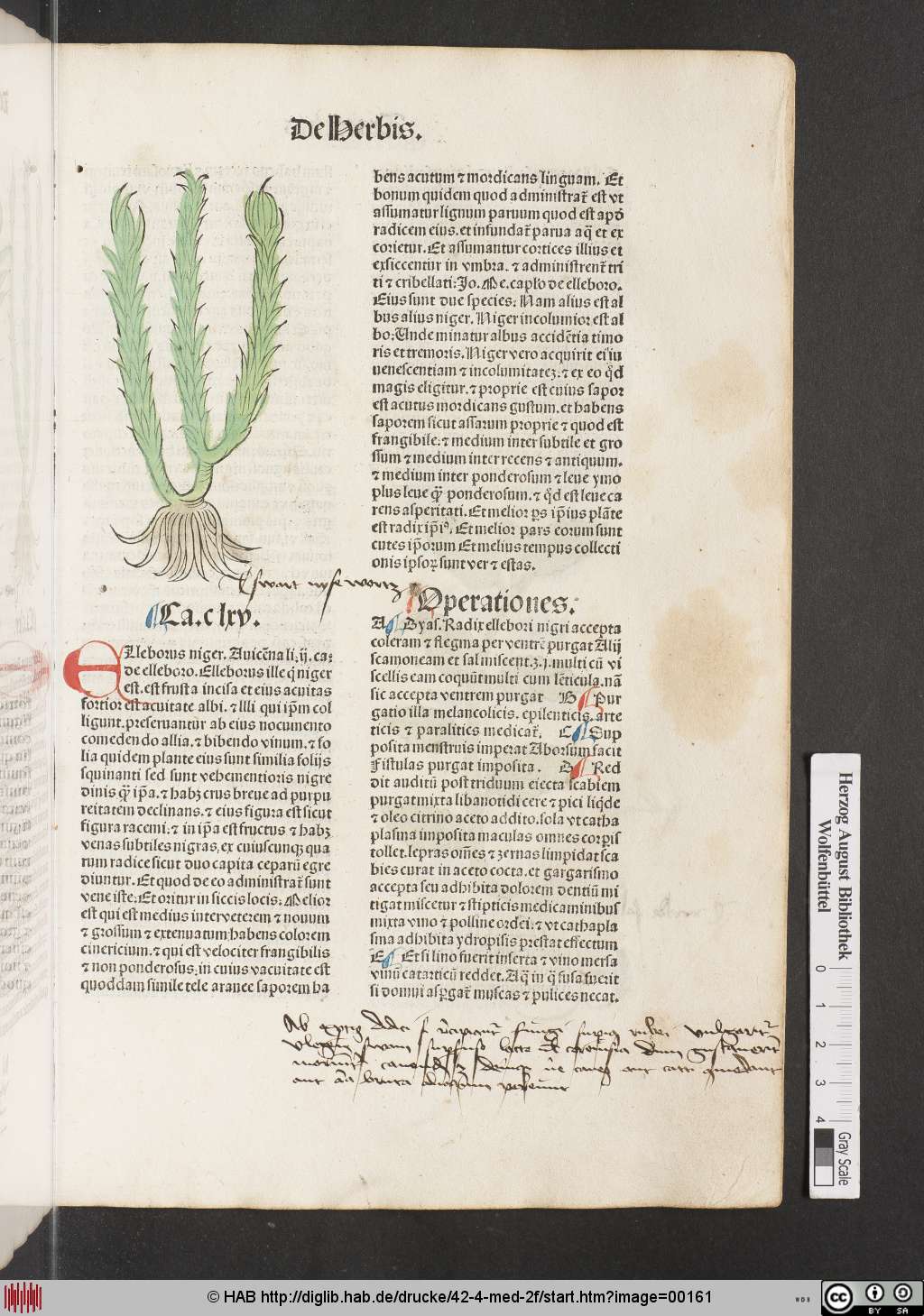 http://diglib.hab.de/drucke/42-4-med-2f/00161.jpg