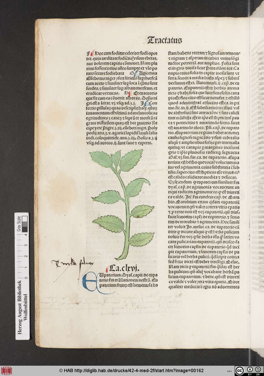 http://diglib.hab.de/drucke/42-4-med-2f/00162.jpg