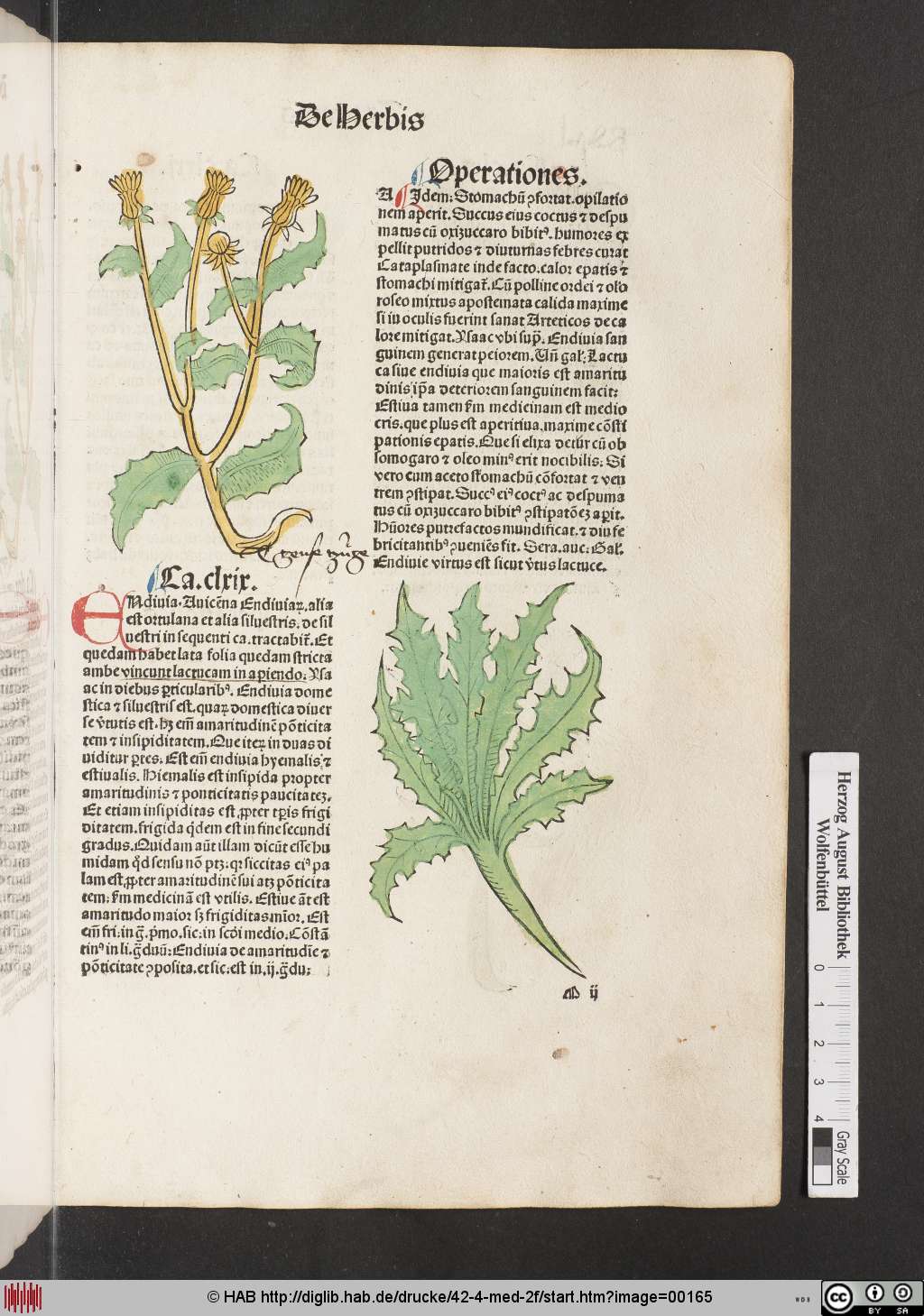 http://diglib.hab.de/drucke/42-4-med-2f/00165.jpg