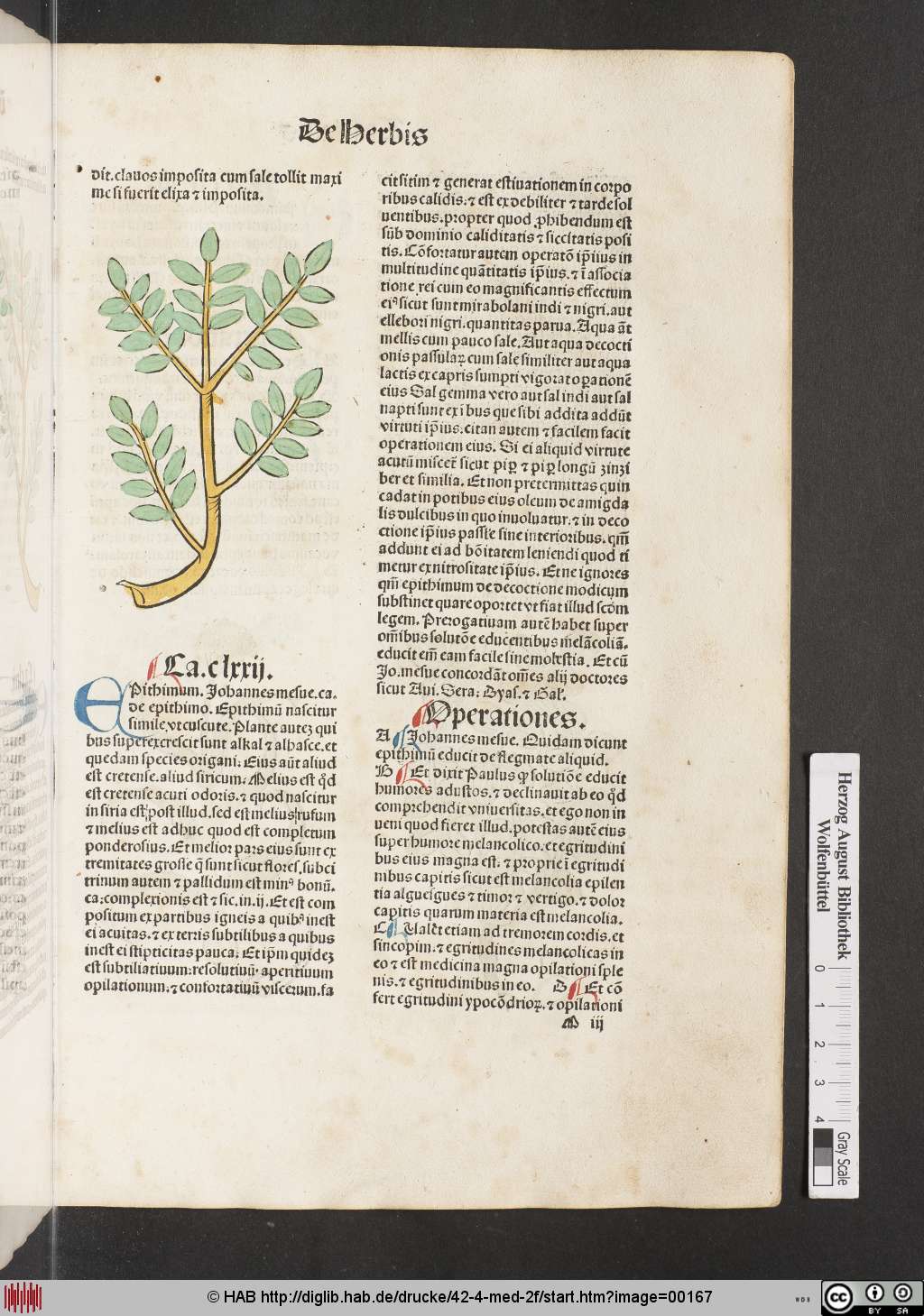 http://diglib.hab.de/drucke/42-4-med-2f/00167.jpg