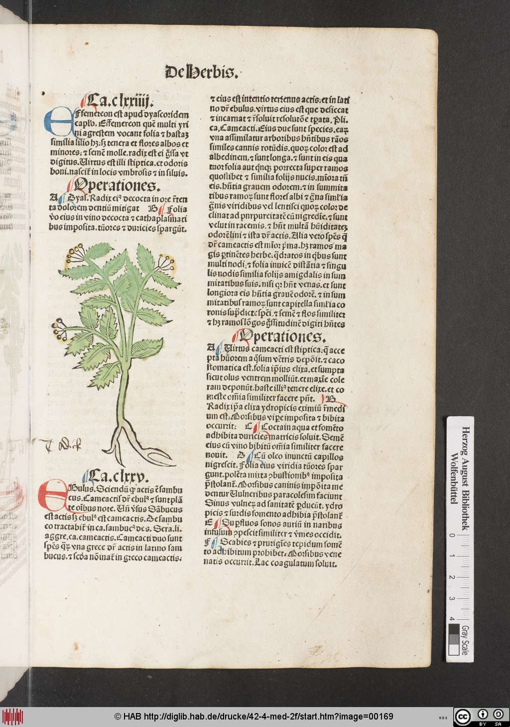 http://diglib.hab.de/drucke/42-4-med-2f/00169.jpg