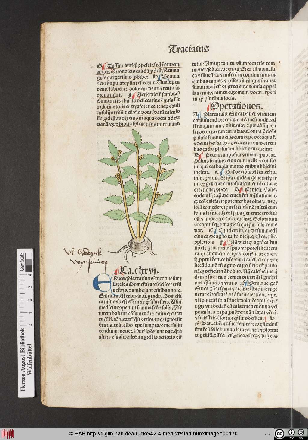 http://diglib.hab.de/drucke/42-4-med-2f/00170.jpg