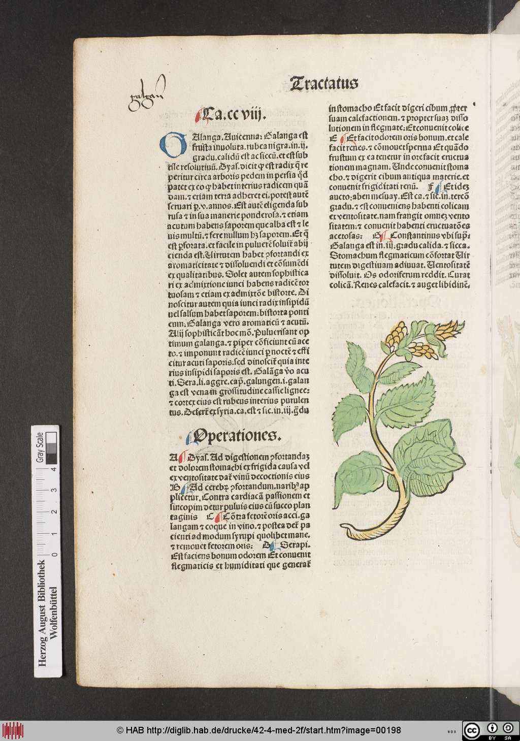 http://diglib.hab.de/drucke/42-4-med-2f/00198.jpg