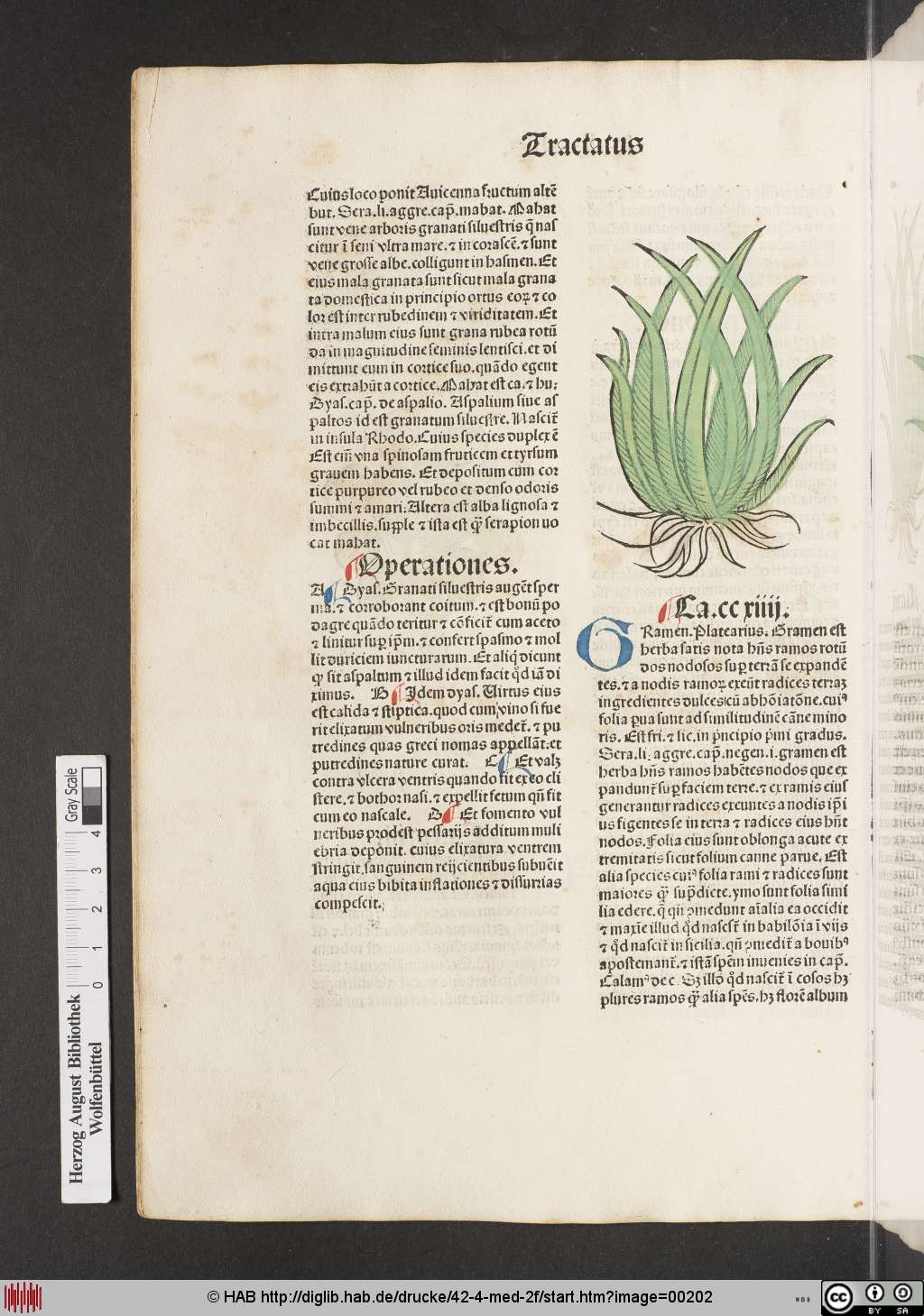 http://diglib.hab.de/drucke/42-4-med-2f/00202.jpg