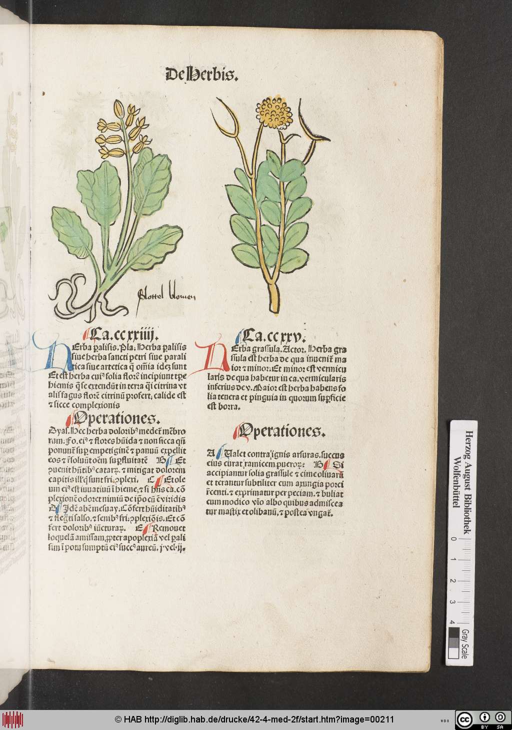 http://diglib.hab.de/drucke/42-4-med-2f/00211.jpg