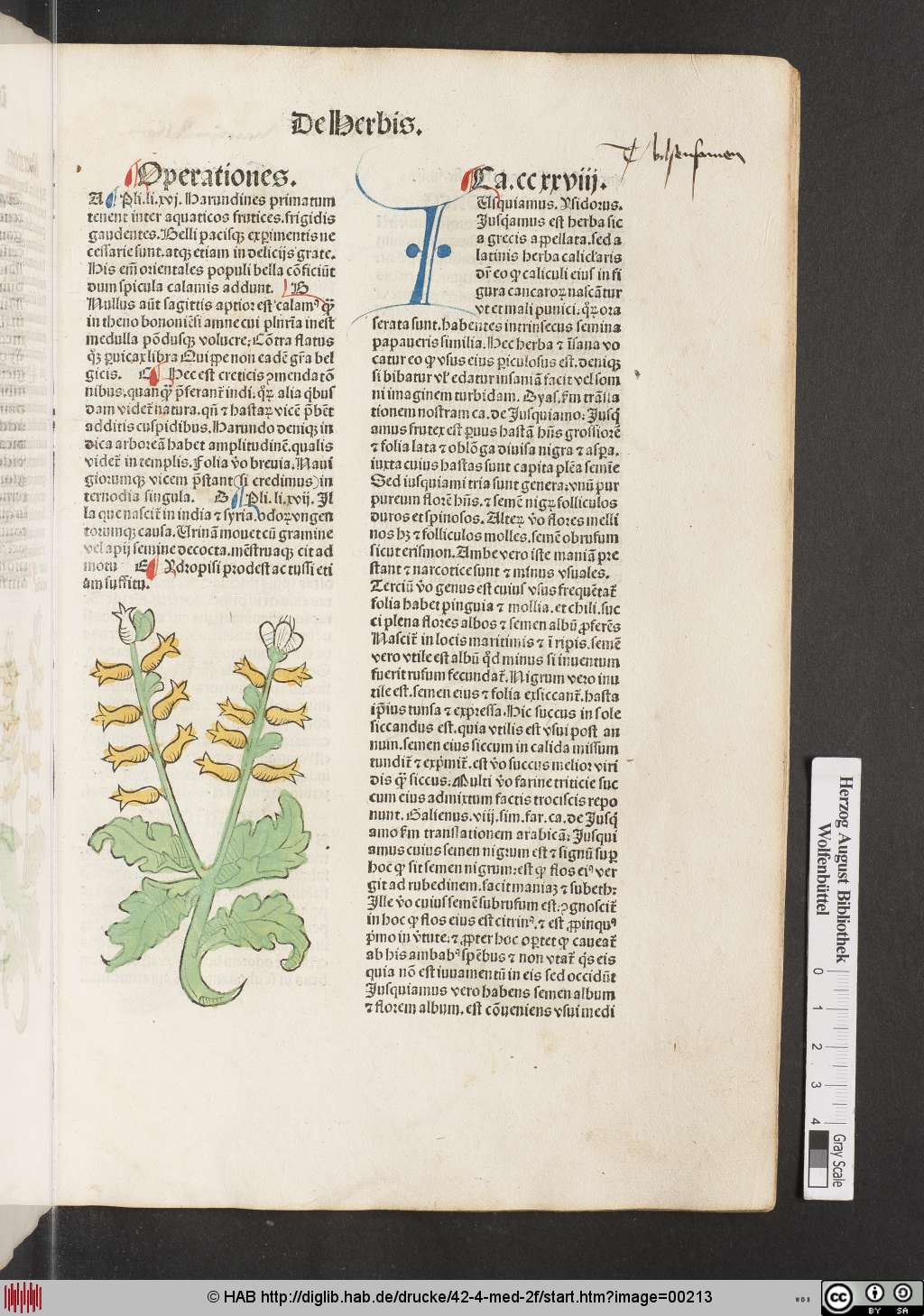 http://diglib.hab.de/drucke/42-4-med-2f/00213.jpg