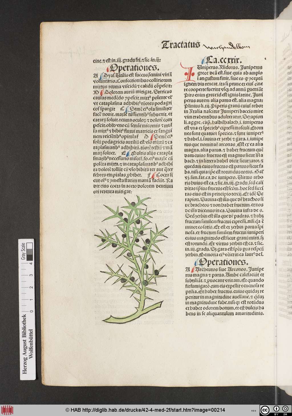 http://diglib.hab.de/drucke/42-4-med-2f/00214.jpg