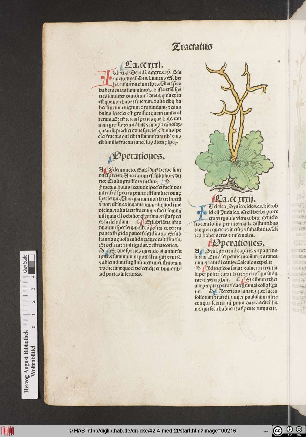 http://diglib.hab.de/drucke/42-4-med-2f/00216.jpg