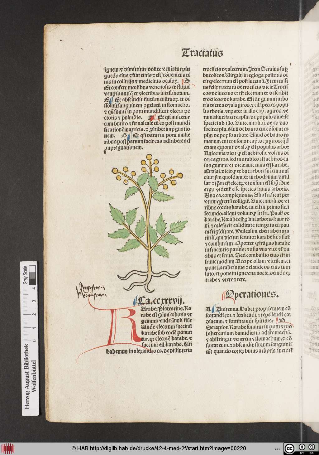 http://diglib.hab.de/drucke/42-4-med-2f/00220.jpg