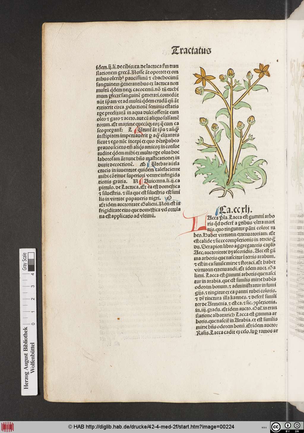 http://diglib.hab.de/drucke/42-4-med-2f/00224.jpg