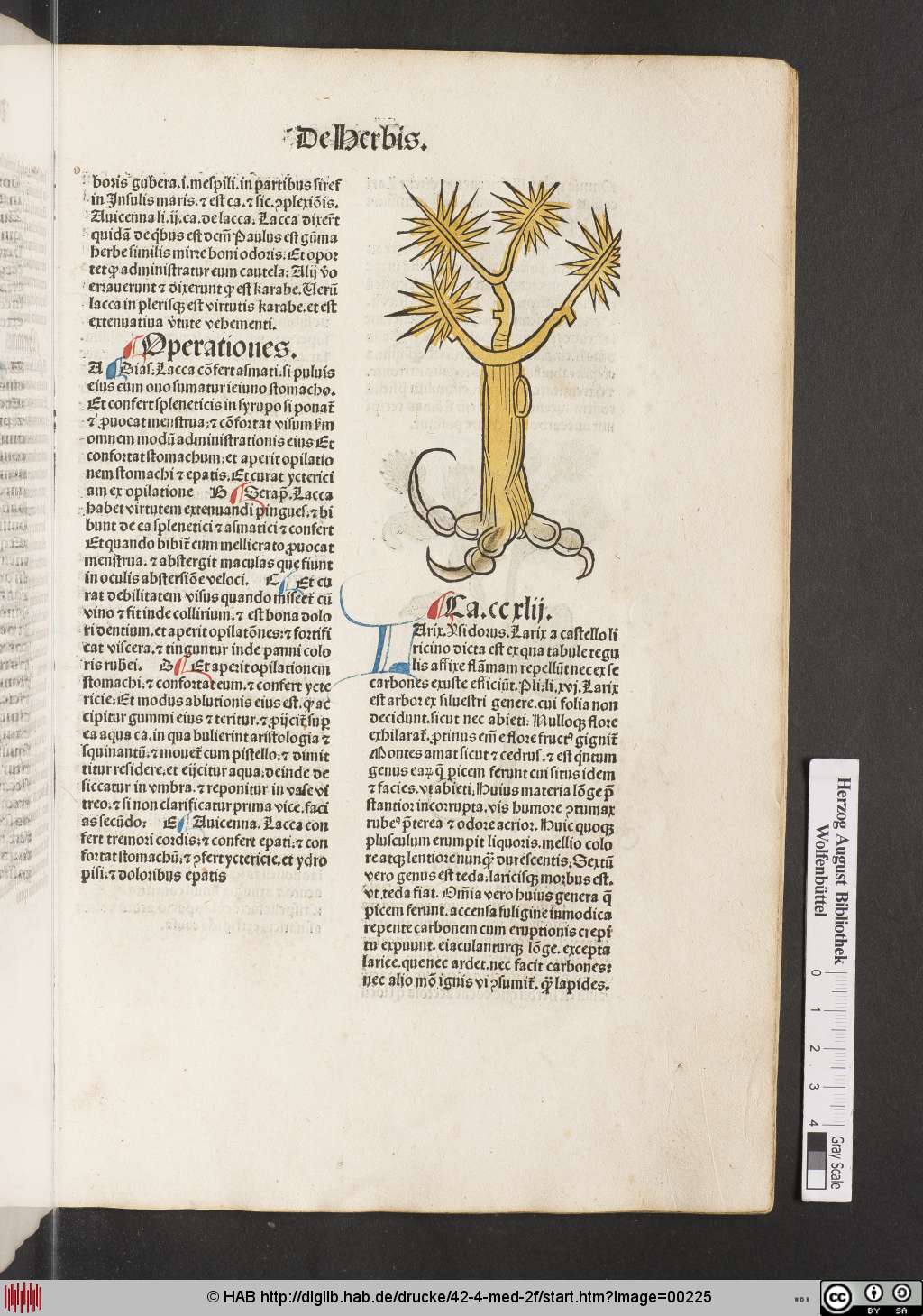 http://diglib.hab.de/drucke/42-4-med-2f/00225.jpg