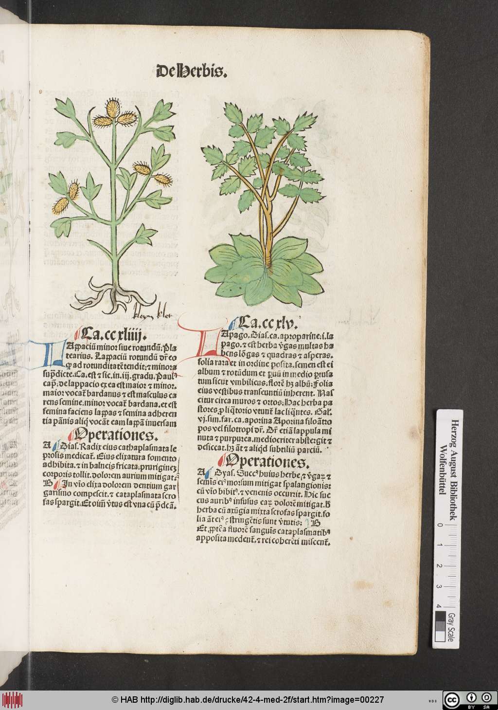 http://diglib.hab.de/drucke/42-4-med-2f/00227.jpg