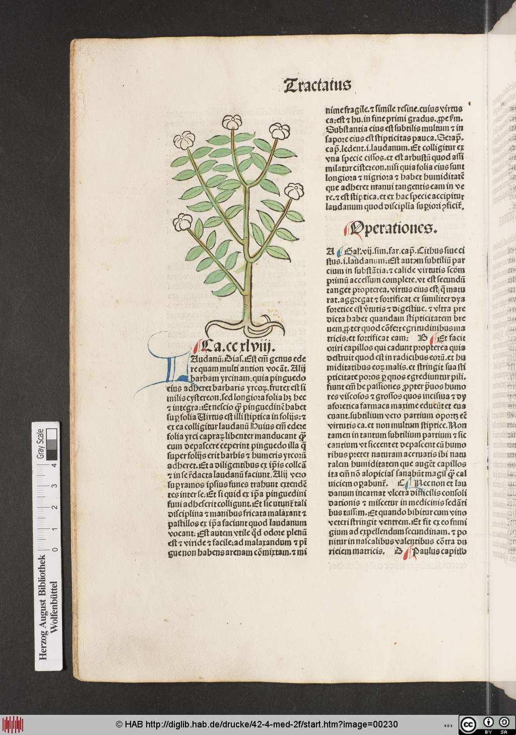 http://diglib.hab.de/drucke/42-4-med-2f/00230.jpg