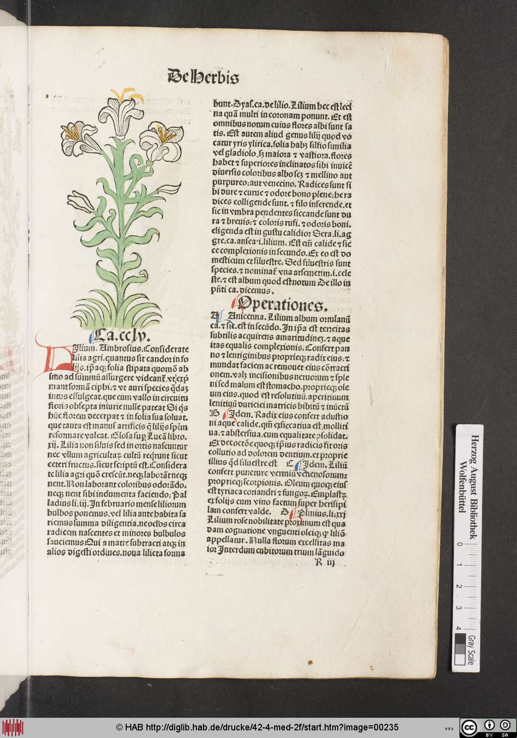 http://diglib.hab.de/drucke/42-4-med-2f/00235.jpg