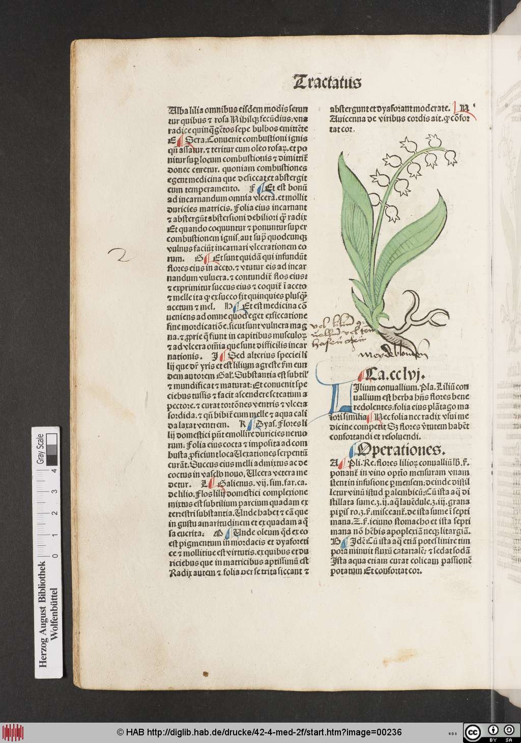 http://diglib.hab.de/drucke/42-4-med-2f/00236.jpg