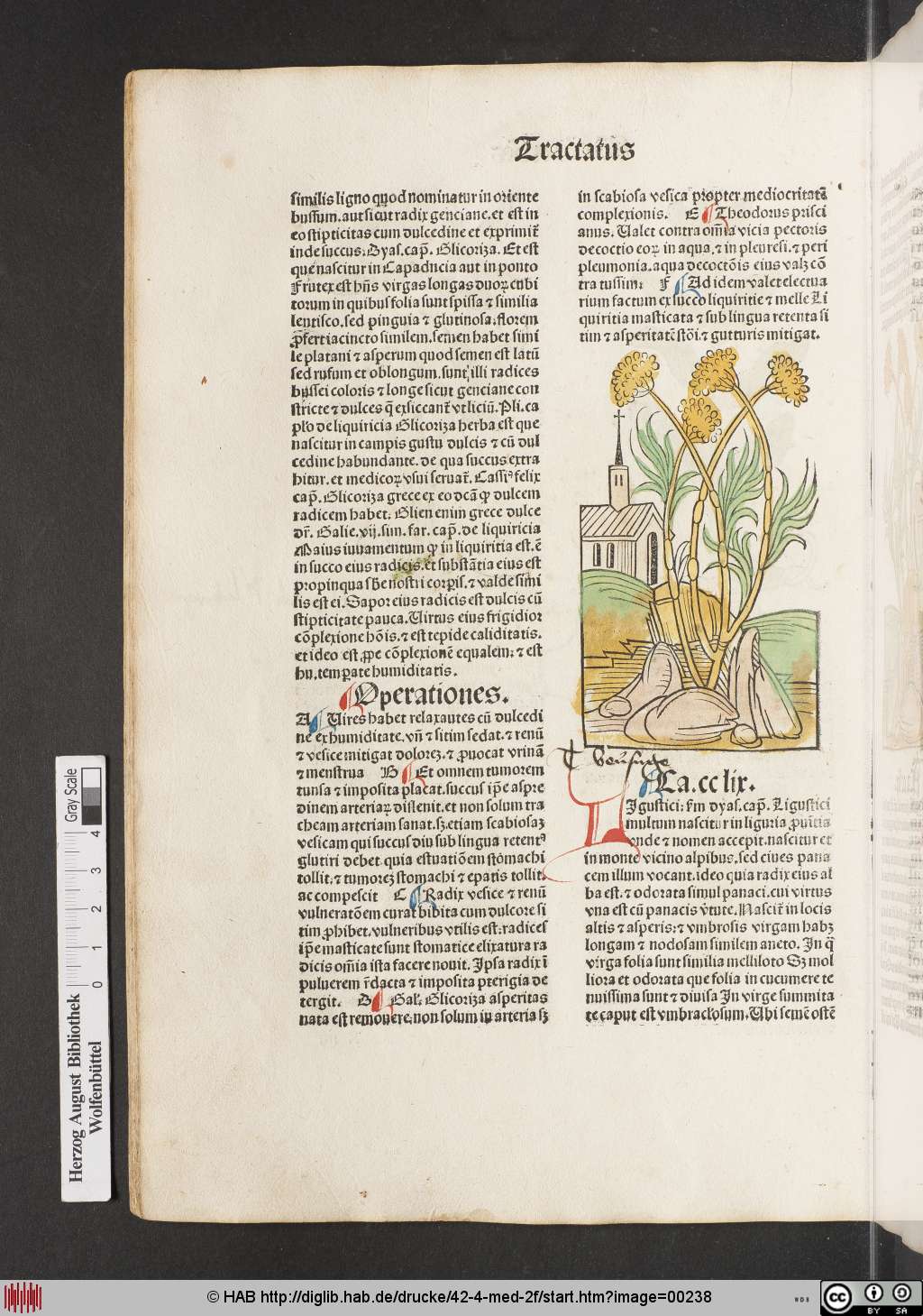 http://diglib.hab.de/drucke/42-4-med-2f/00238.jpg