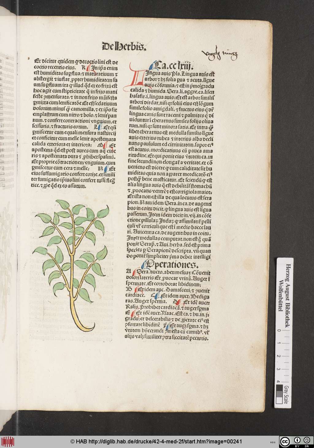 http://diglib.hab.de/drucke/42-4-med-2f/00241.jpg