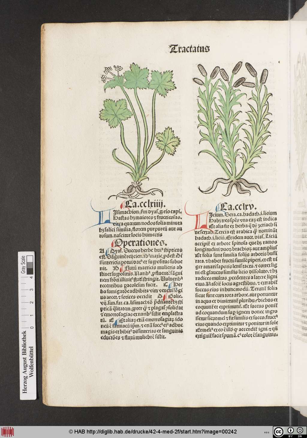 http://diglib.hab.de/drucke/42-4-med-2f/00242.jpg