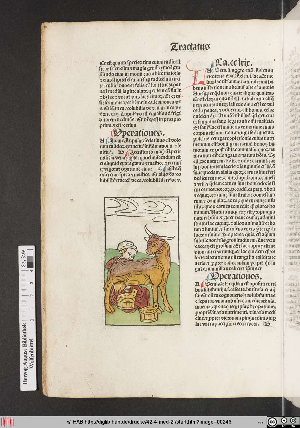 http://diglib.hab.de/drucke/42-4-med-2f/00246.jpg