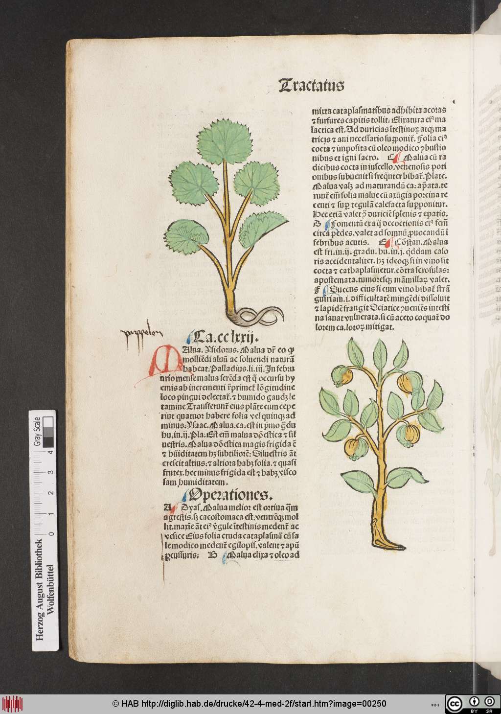 http://diglib.hab.de/drucke/42-4-med-2f/00250.jpg