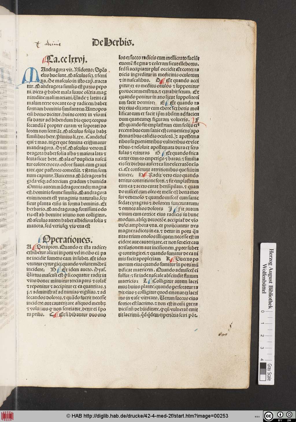 http://diglib.hab.de/drucke/42-4-med-2f/00253.jpg