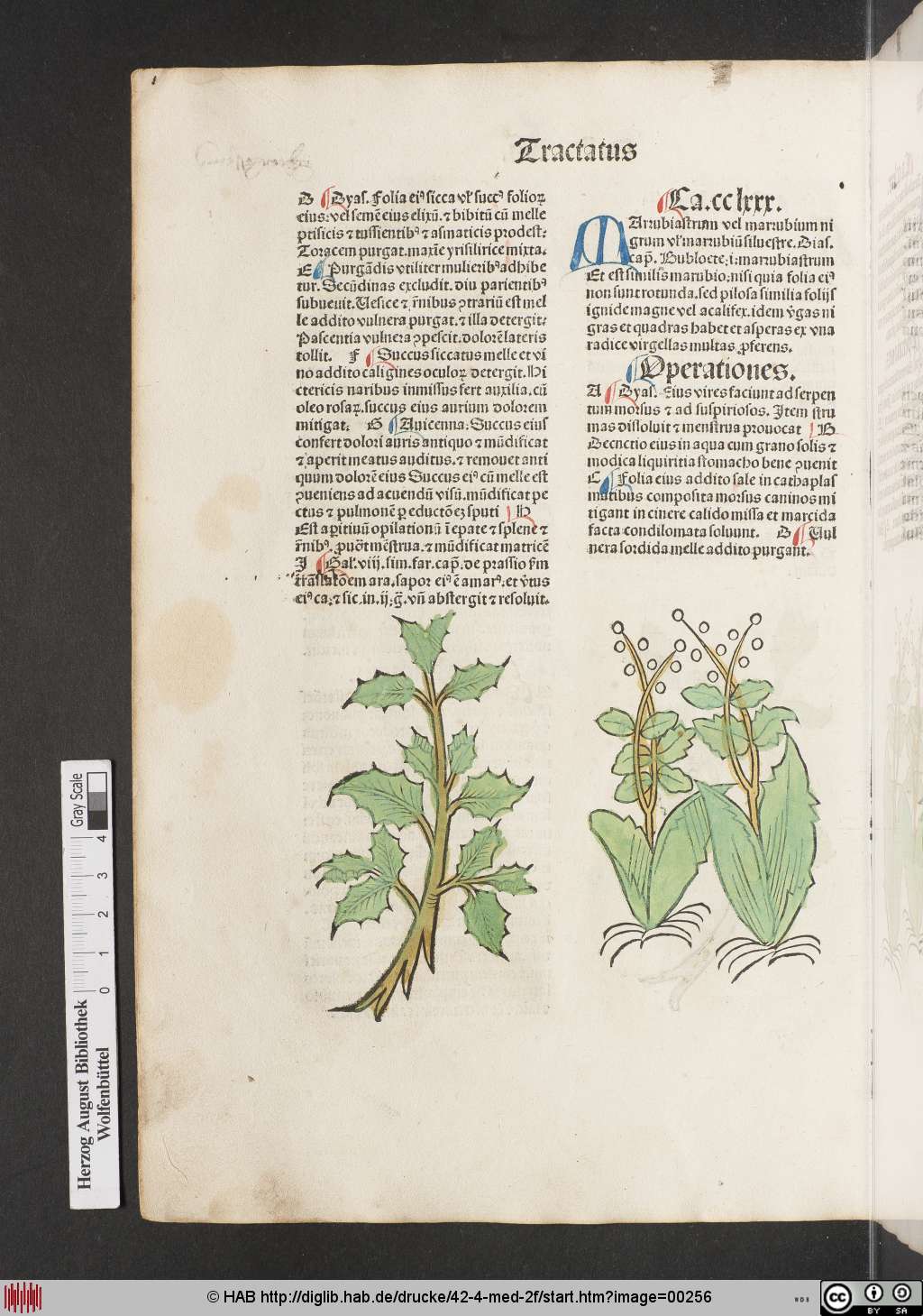 http://diglib.hab.de/drucke/42-4-med-2f/00256.jpg