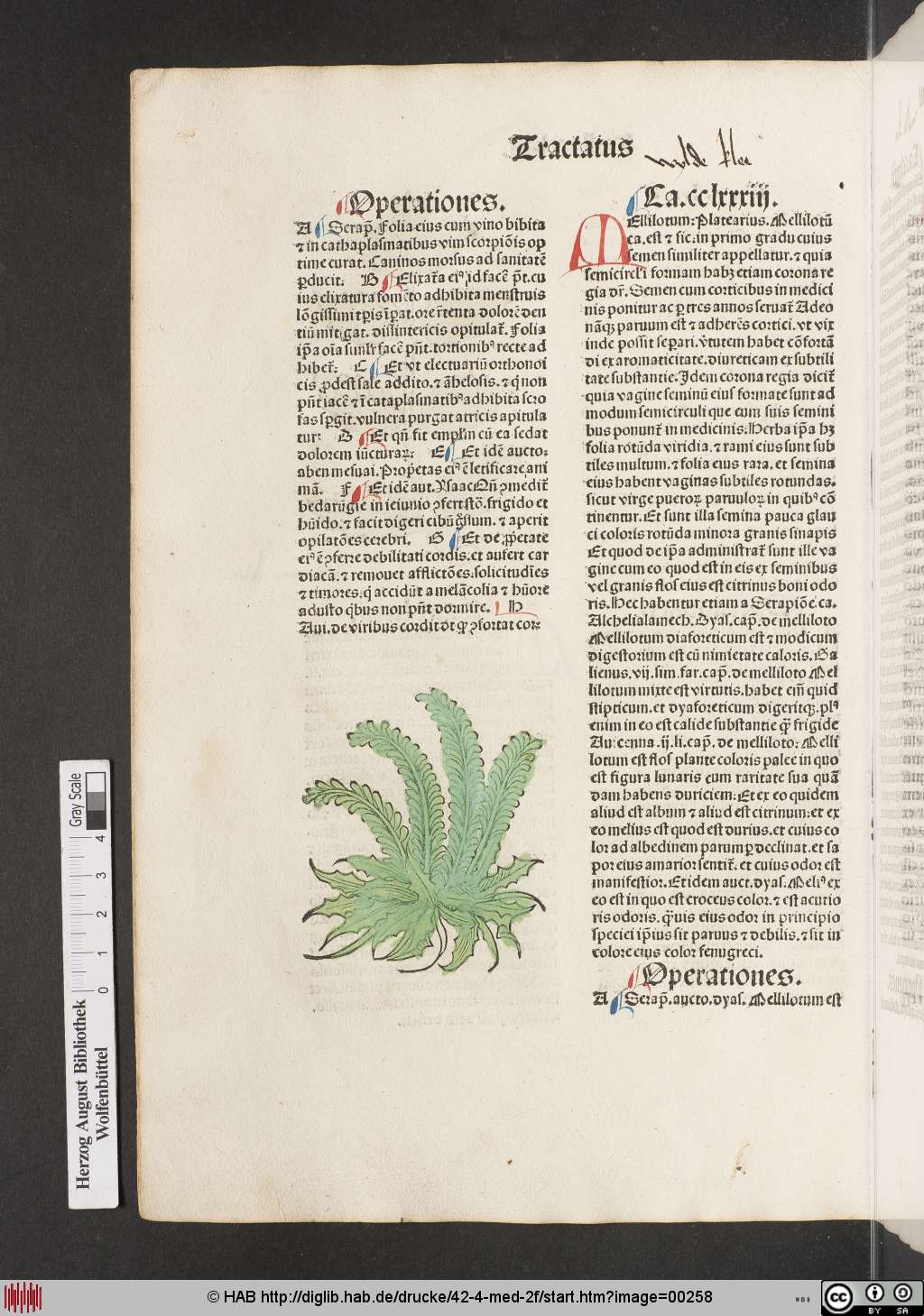 http://diglib.hab.de/drucke/42-4-med-2f/00258.jpg