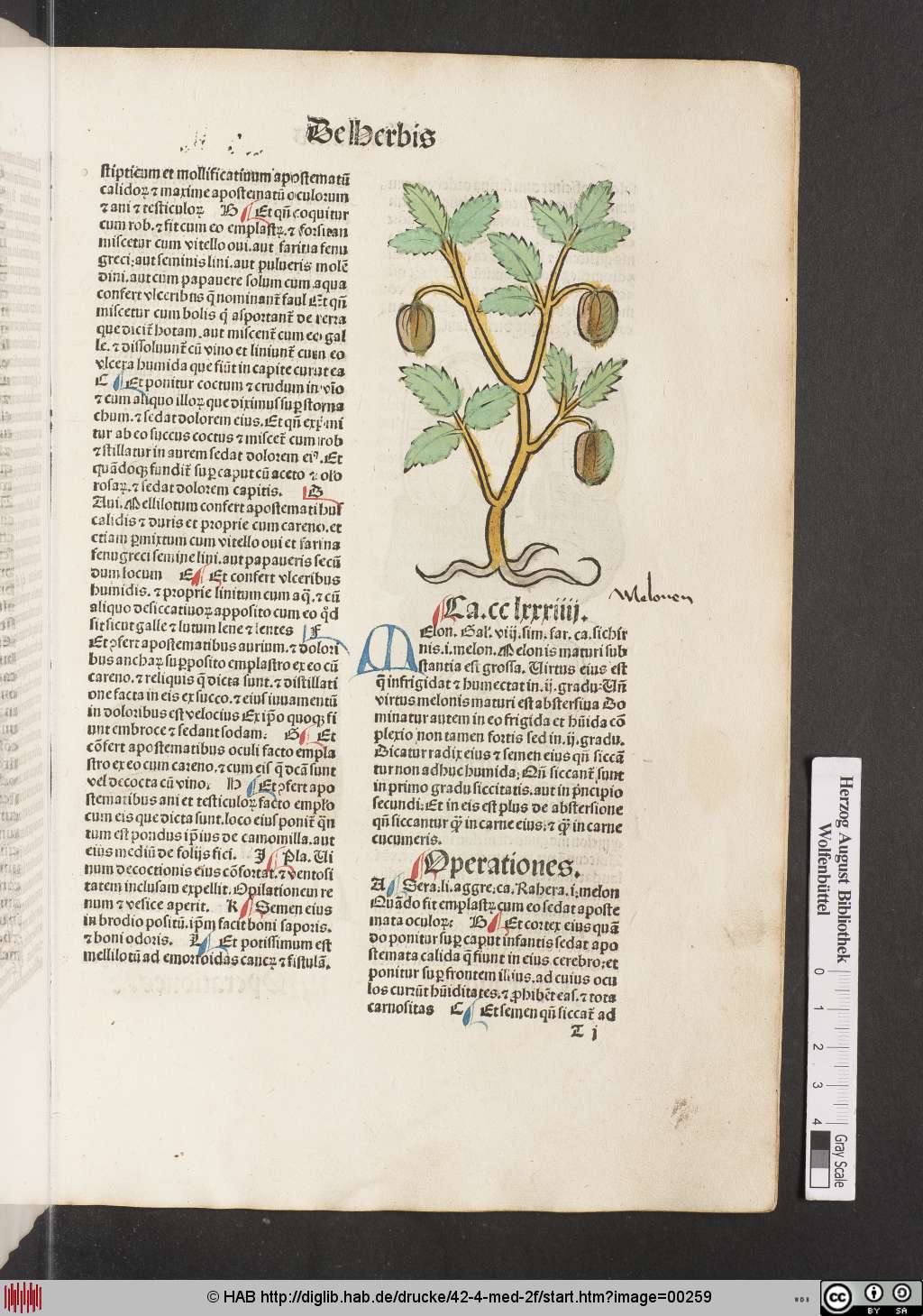 http://diglib.hab.de/drucke/42-4-med-2f/00259.jpg