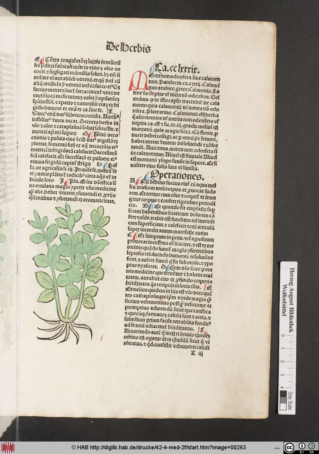 http://diglib.hab.de/drucke/42-4-med-2f/00263.jpg