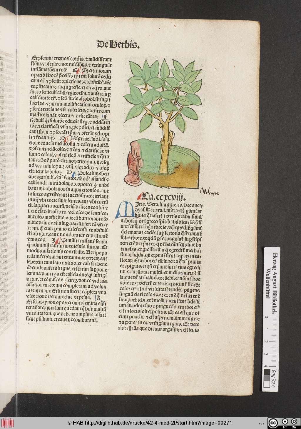 http://diglib.hab.de/drucke/42-4-med-2f/00271.jpg