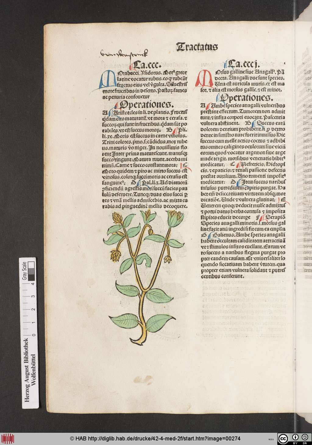 http://diglib.hab.de/drucke/42-4-med-2f/00274.jpg